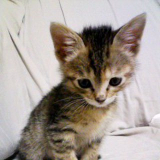 ママになって!!