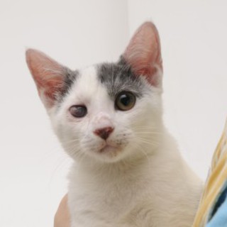 障害がありますが元気です