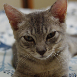 やさしい家族が欲しい！