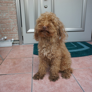 ありがとうございました