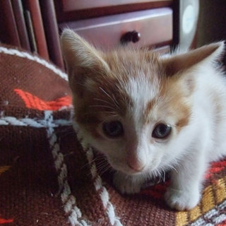 赤い糸を見つけられました！