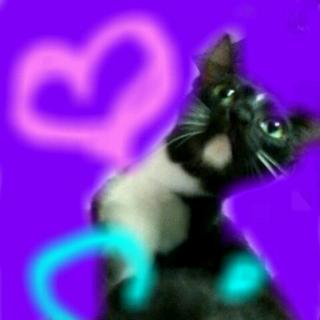 生涯大事にしてくれる方を募集