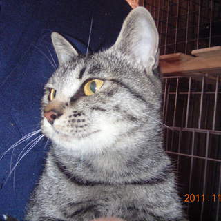 やんちゃで元気いっぱいの女の子たちです。