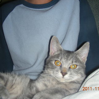 元気な男の子です