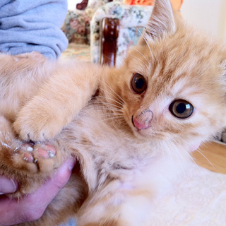 ☆優しいご家族が見つかりました☆