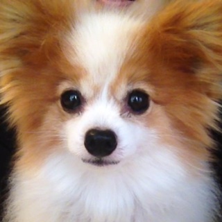 連絡くださった皆さんありがとうございました。