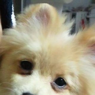 幸せにして頂ける方探しています