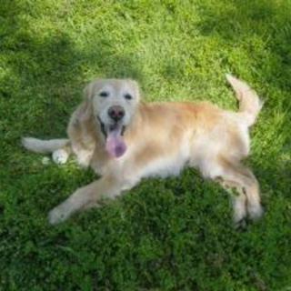 大切に育ててきましたが.....