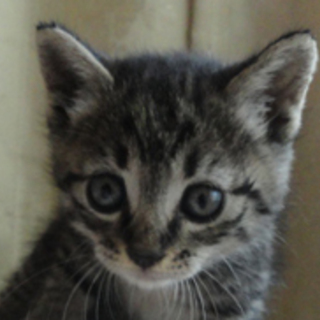 まん丸おメメ　うみくん