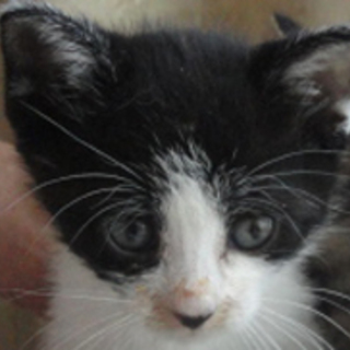 何とも可愛い　やま君