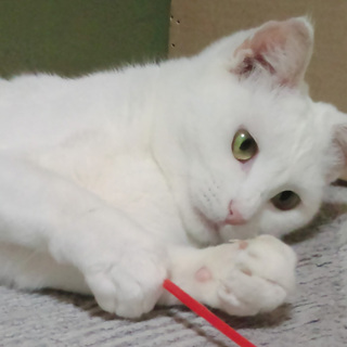 募集終了しました