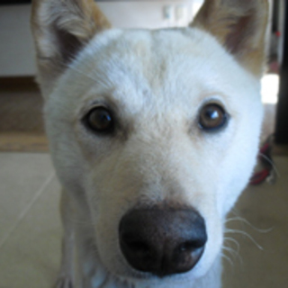 ハイサイ、遊ぶ事が大好きな子