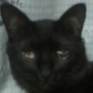 マロ、頑張ってる子