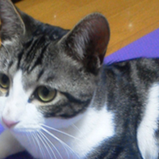 ポンタ、やんちゃなさびしがり屋さん