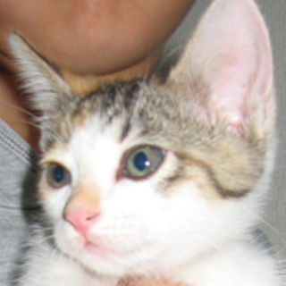 いくみ、甘えん坊さんな子