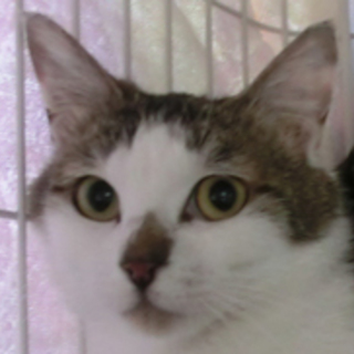 はな、スリスリの甘えん坊