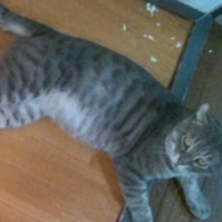 ホクト、と～っても懐こい子