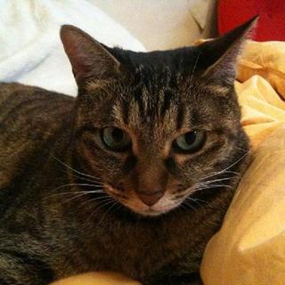 ハルを可愛がってください。