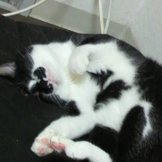 よろしくお願いします。