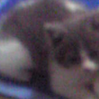 兄弟の分まで幸せを　　チョコ