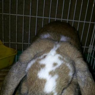 よろしくお願いします