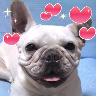 宜しくお願いします。