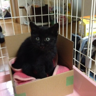 至急！時間がありません。