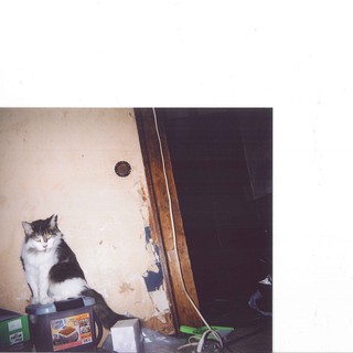 里親を募集します。