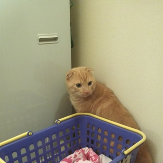 本当に可愛い２匹です。