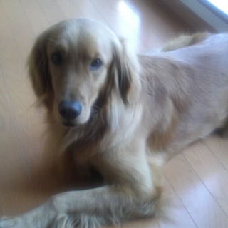 大至急お願いします。