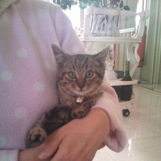 とても良い子です♪