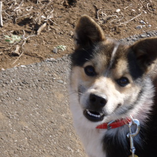 ありがとうございました！！