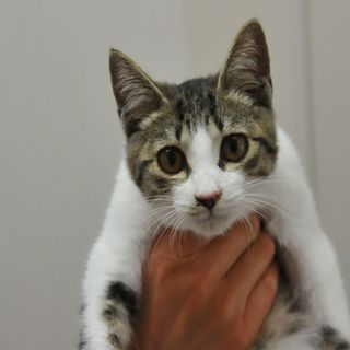 しんた君。一人遊びができる良い子。