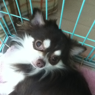 たくさんのご応募誠にありがとうございました