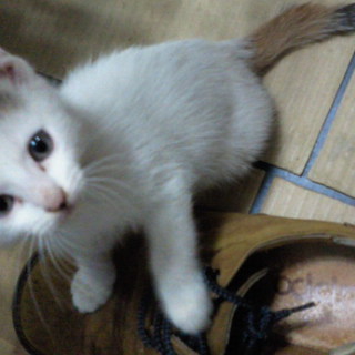 どうもありがとうございました！