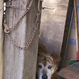 緊急で探してます！