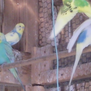 ありがとうございました。