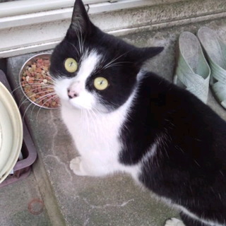 ぱんちゃんです！