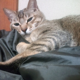 お世話になりますm(__)m