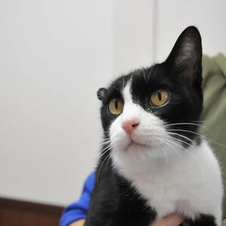 ももか嬢。母性豊かな世話好きさん。