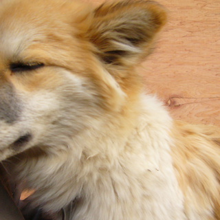 心からありがとうございます。