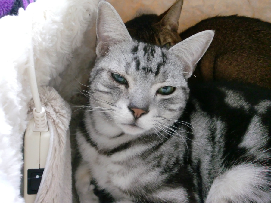 鉄ちゃんに沢山のご応募ありがとうございました サムネイル3