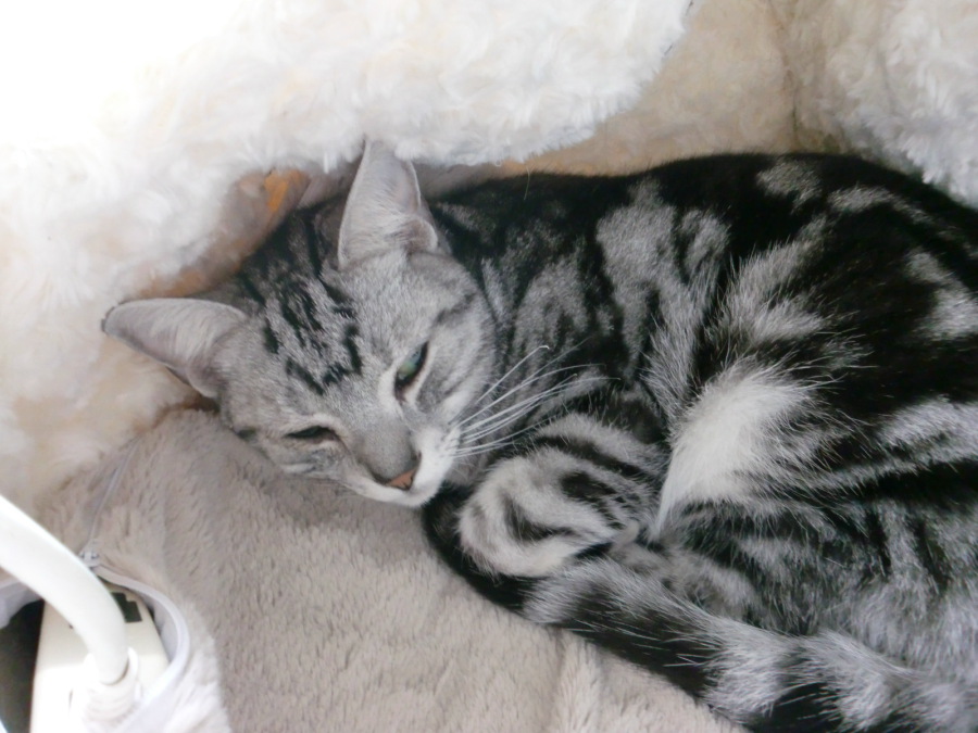 鉄ちゃんに沢山のご応募ありがとうございました サムネイル5