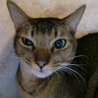 勇次(ありがとうございました）