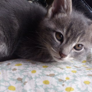 ご応募頂き、有難うございました