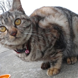 里親さんが決まりました！