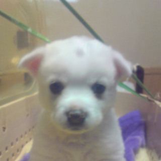 かわいいあまえんぼうです！