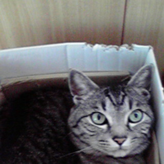 助けて下さい。