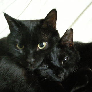 でら！をちこち