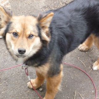 素敵なご家族に巡り合えました♪感謝感謝です！